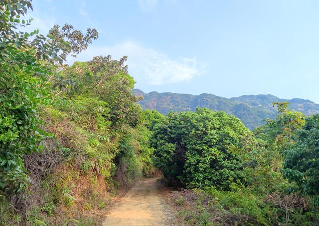 免费的乡村小众露营地，一个小而美的免费露营地