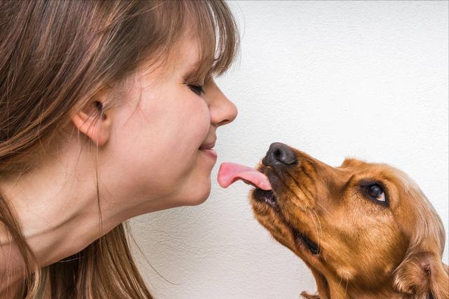 狗狗舔你代表什么，狗狗老是舔你表示什么