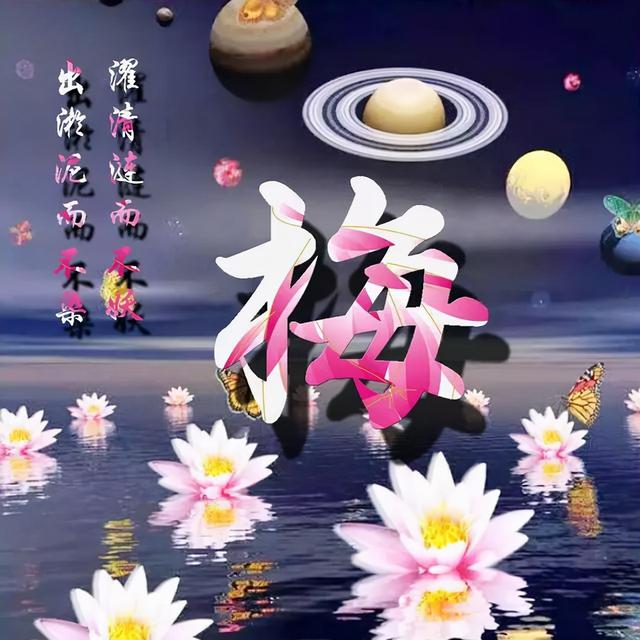 荷花头像图片大全，荷花头像高清图