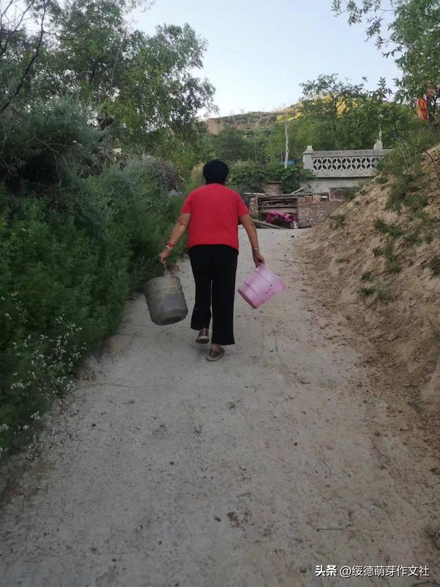 姓黑的都是什么族，黑彝十大家族（五大姓氏高居“古怪榜首”）