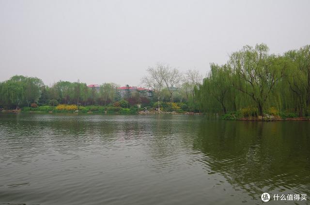 厦门大明湖春节有什么好玩的地方，厦门大明湖畔：水仙绽放贺春来