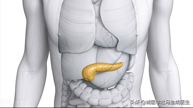 糖尿病吃什么药材汤好(糖尿病吃什么药最好最有效副作用小)