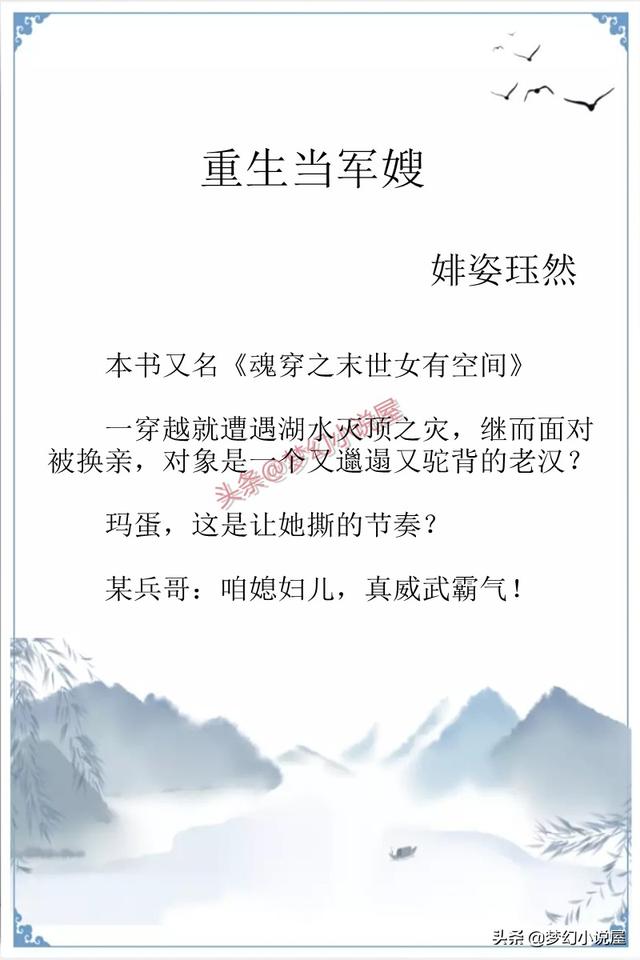 重生军嫂娇养记，推文皮皮