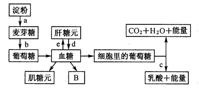 糖尿病学名(糖尿病又名)