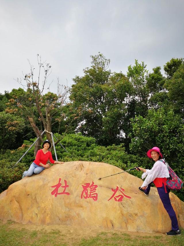 关于深圳梧桐山简介，深圳之巅——梧桐山