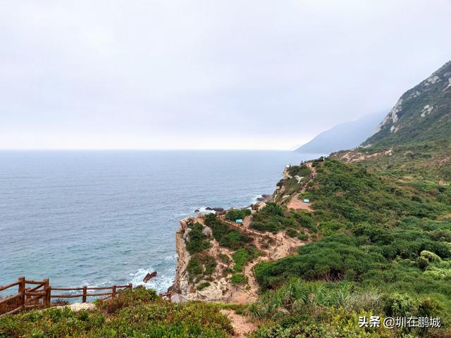 杨梅坑鹿嘴山庄，杨梅坑深圳旅游（鹿嘴山庄寻鹿攻略）