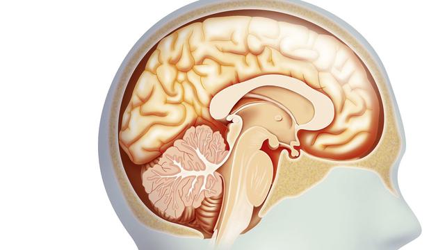 老年人年龄新划分，老年人的这6个健康“硬指标”