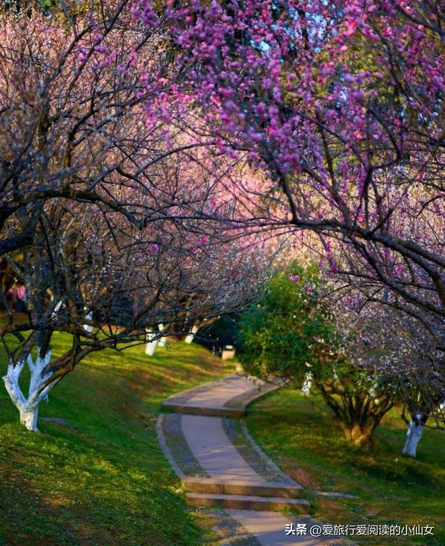 杭州有哪些必游景点免费，最能代表杭州的17个精华景点