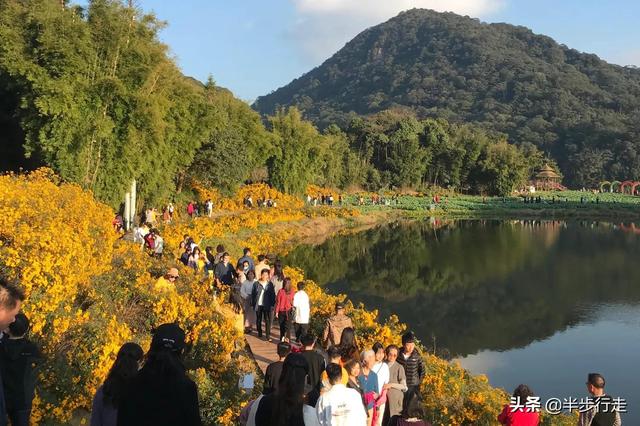 广州石门公园景点，赏红叶首选，当属从化石门