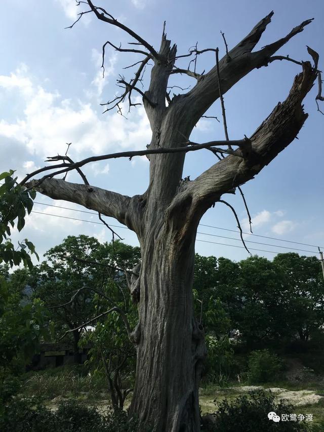 泾县桃花潭周边景点介绍，桃花潭水深千尺