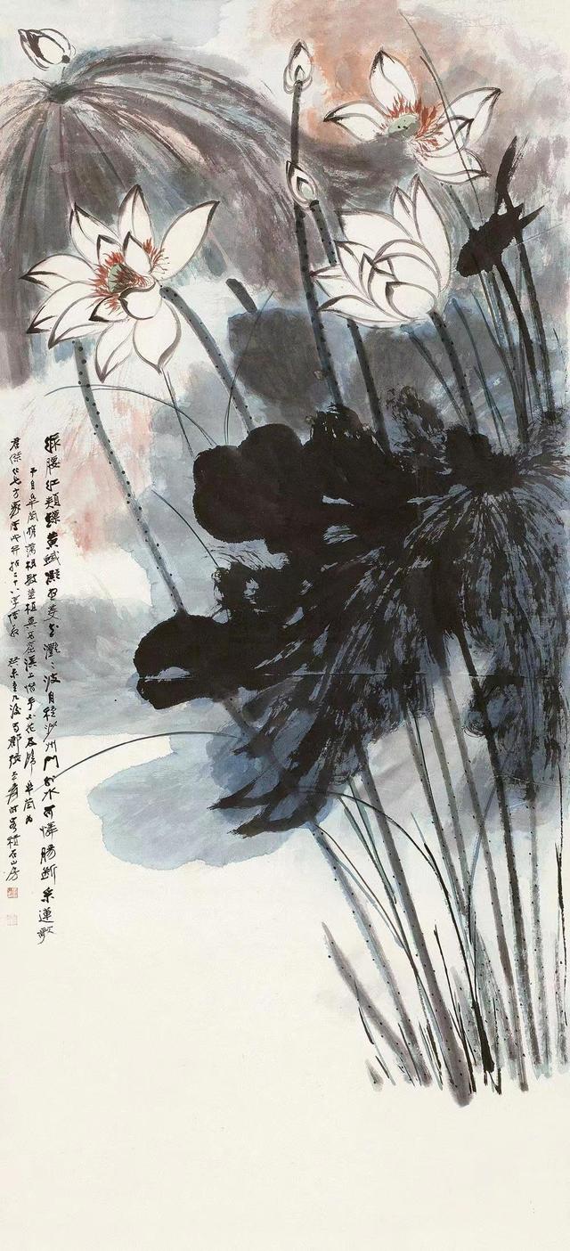 禅意写意荷花200幅，大千居士荷花图赏析