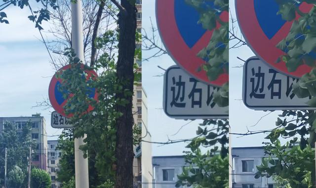 去码软件教程，这些软件你可以试试