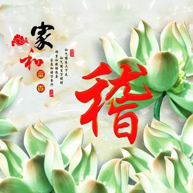 荷花头像图片大全，荷花头像高清图