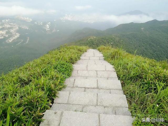 周日打卡鹏城第一峰，从蝴蝶谷-好汉坡步道登顶