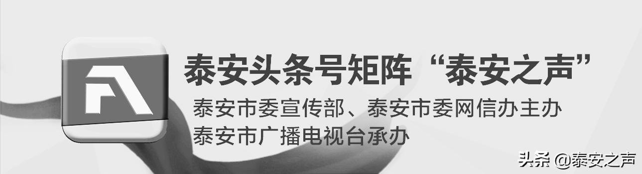 白晓菁，还原一个真实的白晓卉