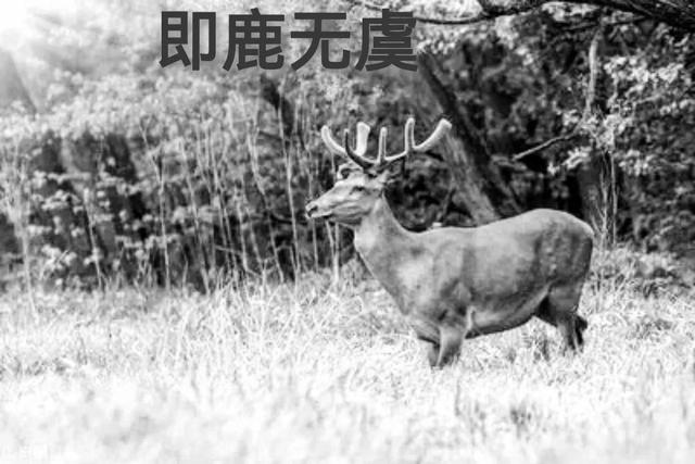 顺遂无虞什么意思，顺遂无虞是什么成语