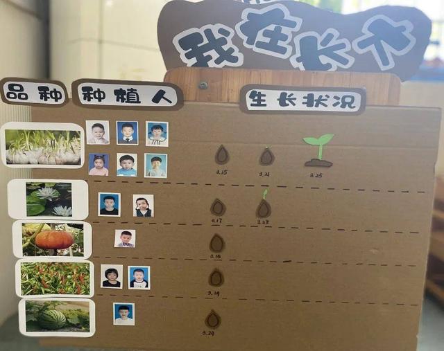 幼儿园自然角在线研讨，小小自然角春意盎然中