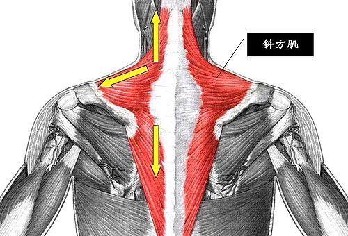 肩颈酸痛的厉害是什么原因，五大原因六大方法来缓解