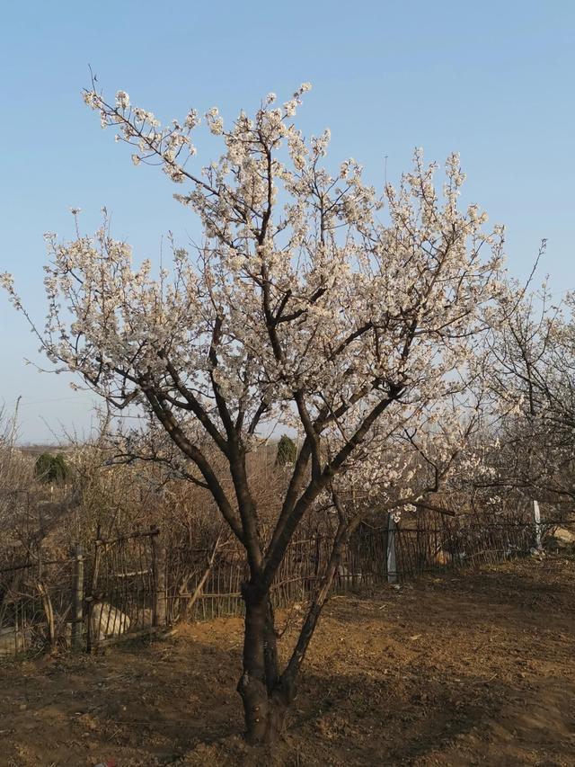 四月份是什么季节，四月份的时候是什么季节了
