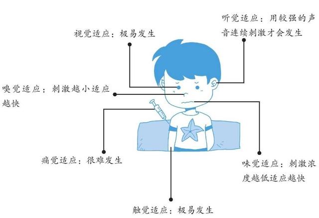 动物心理学的基本阶段，动物和人类心理学有什么区别