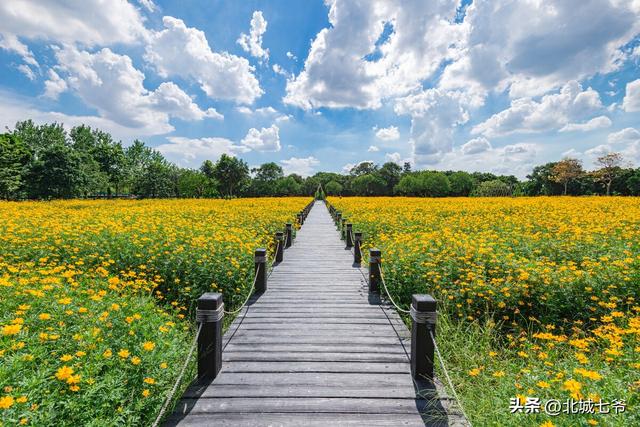 七号公园许嵩，道亭房许嵩