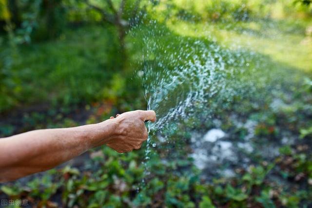 黄瓜种植方法大全，快来看看正确的方法