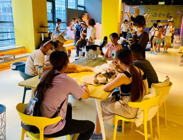 杭州银泰百货官网，银泰百货官网旗舰店（银泰百货、盒马等79家企业入选杭州市首批新零售企业）