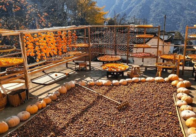 立秋这天吃什么，立秋当天风俗吃什么（立秋到了老传统别忘）