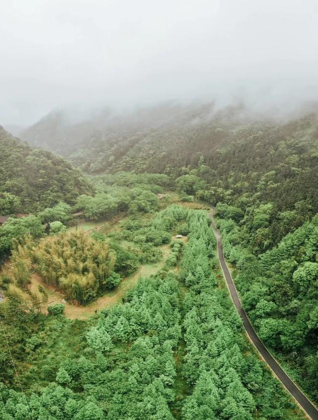北仑森林植物园，宁波市12月份适合旅游的地方（浙江宁波市北仑区值得游玩的旅游景点有哪些）