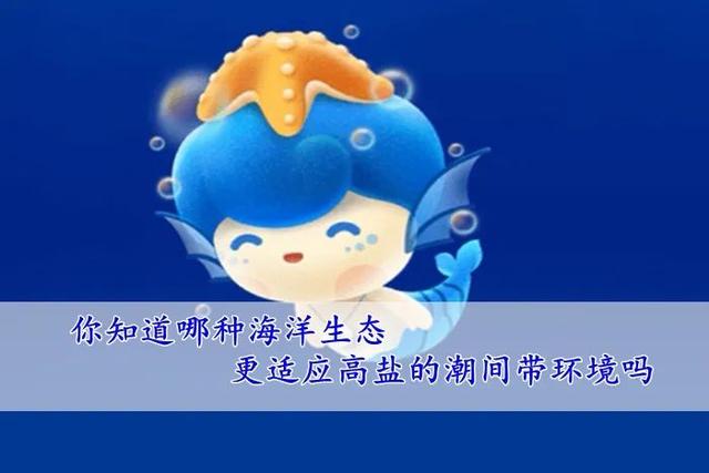 海水为什么出现荧光海滩，荧光海的奥秘