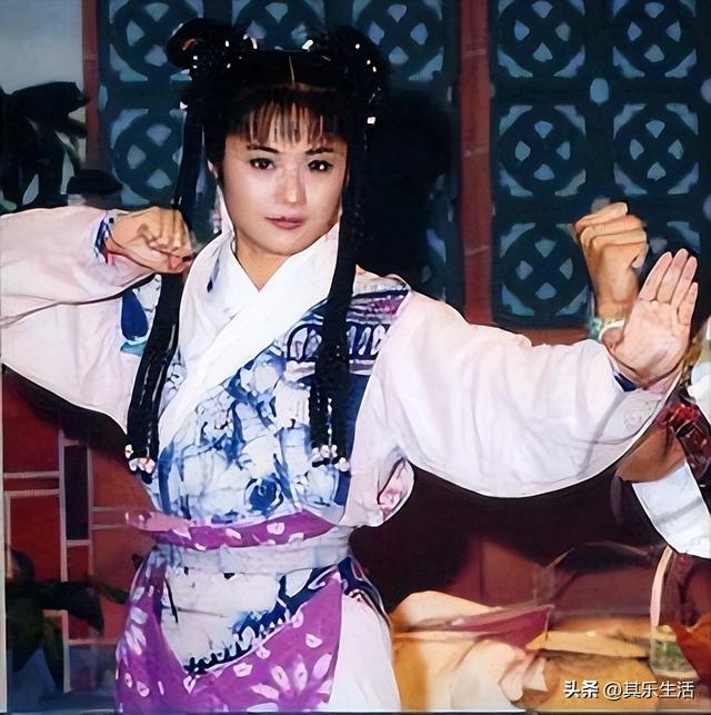 雍正年羹尧武打，雍正小蝶年羹尧播出24年