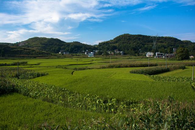 贵州最美的公路介绍，壮美的贵州遵义大发渠特大桥