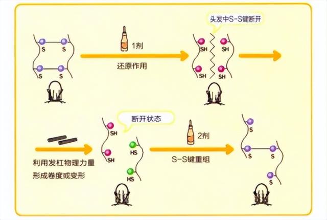 烫头发太丑第二天可以再烫吗，烫头发失败可以马上再烫吗（烫了头发不喜欢怎么恢复正常）
