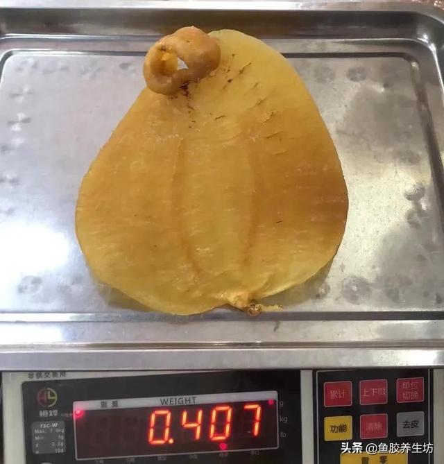 人工合成鱼胶图片，合成鱼胶怎么分辨