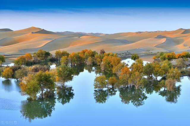 沙漠绿化知识，沙漠绿化种草比种树省水又固沙