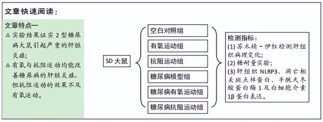 糖尿病大鼠(糖尿病大鼠为什么选择辛伐他汀做阳性对照)