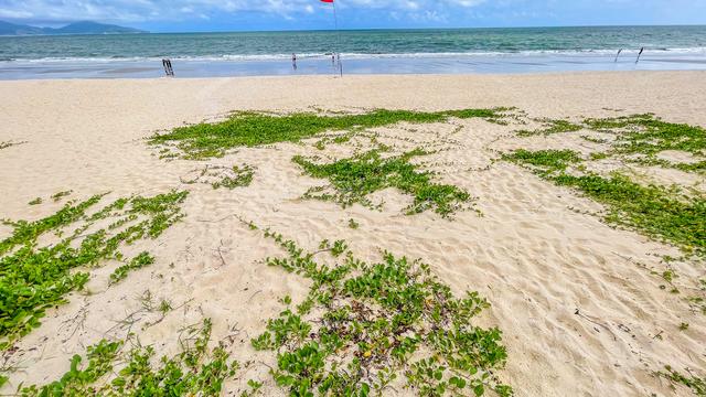 广东海滩日出旅游攻略，南澳岛绝美拍照打卡地‼️