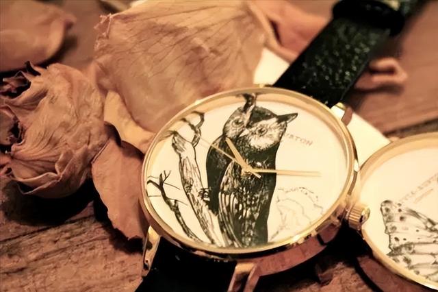 dw手表是啥牌子，种草还在戴DW你就Out了