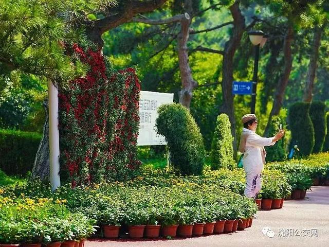 我们身边的沈阳，他曾数十次翱翔在沈阳的上空