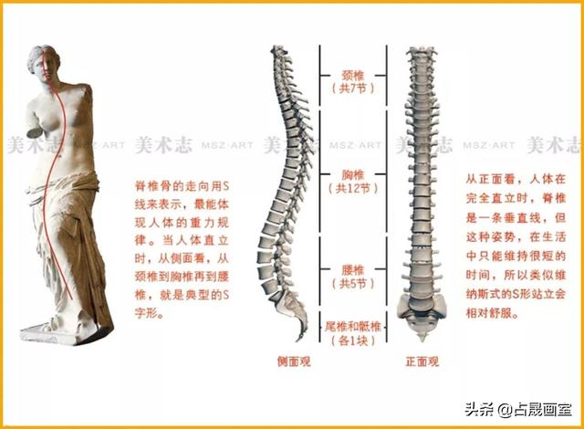 美术技法快速入门，看完练习3天就能提升绘画技术