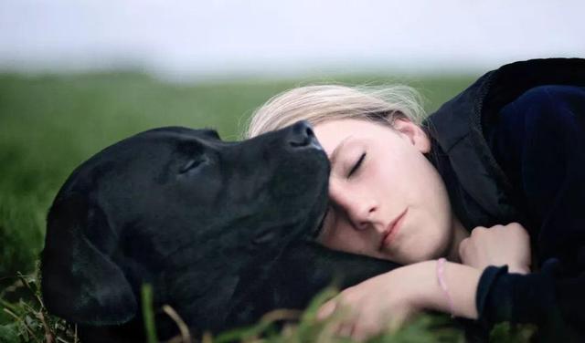 狗狗睡觉时候抖动抽搐，为啥狗狗睡觉时抽搐（狗狗睡觉有点抽搐是什么原因）