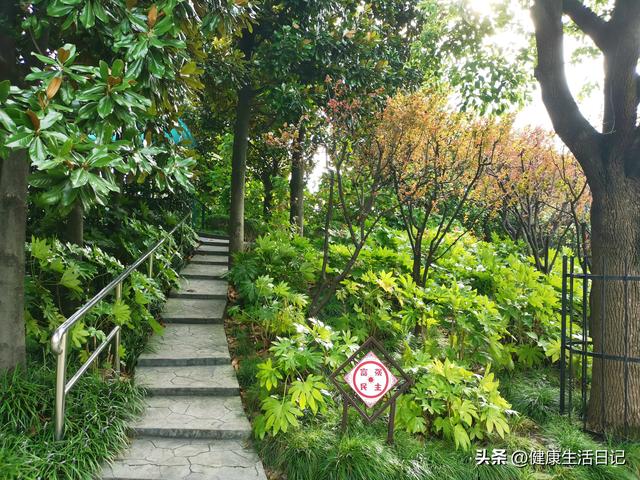 上海最值得徒步的路线，徒步上海普陀区甘泉公园