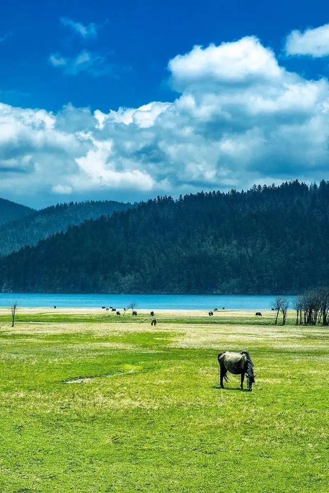 夏天去哪里旅游，夏天适合去哪里旅游避暑的地方（这些消暑纳凉地请收藏好）