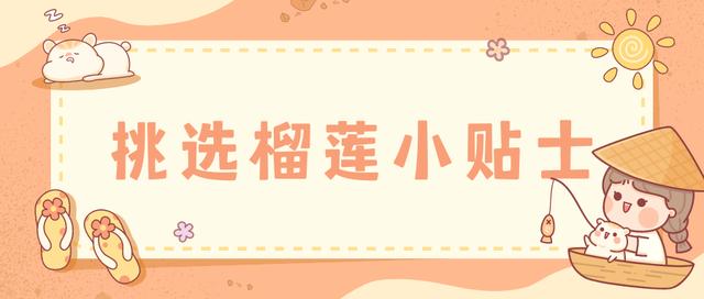 懂一只榴莲背后的故事，洪小鱼一颗榴莲的前世今生