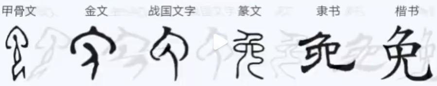 兔字的演变过程图，兔字的来源及演变过程（为什么汉字“兔”这样写）