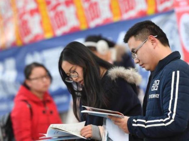 选调生报名条件怎么选，选调生也有等级划分