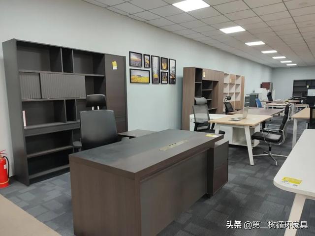 世界森林日循环办公家具，每年的世界森林日