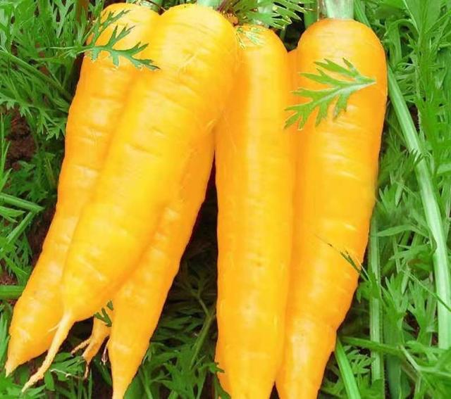 七坊街最好吃的馕，喀什的宝藏路边摊羊肚