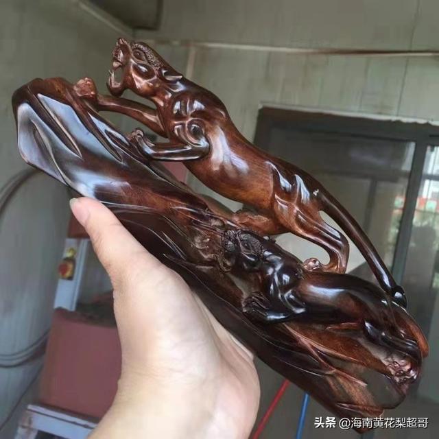 海南黄花梨树图片，15年的黄花梨树真的能值几万元吗（黄花梨木10000多元一斤）