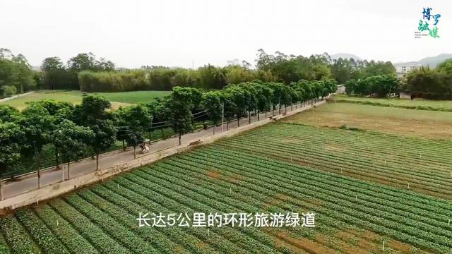 广州绿道田园景点，博罗这些高颜值绿道等你来打卡